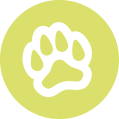 paw-icon.png